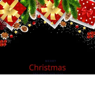 圣诞节美丽礼盒枝边框挂画