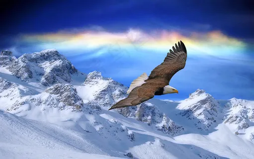 雪山风景创意 雪山风景创意