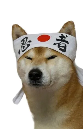 总督 (meme) PNG 图像免抠(520x804)