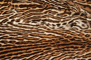 老虎毛笔纹理背景高清素材图