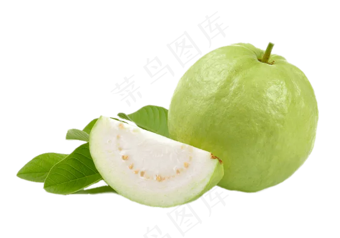 番石榴免抠素材 (10)