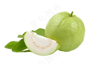 番石榴免抠素材 (10)