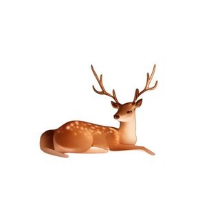 鹿动物免抠