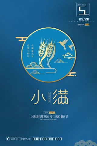 手绘24传统节气小满节日海报