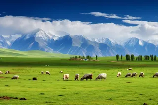 高原雪山的草原的牛羊摄影图