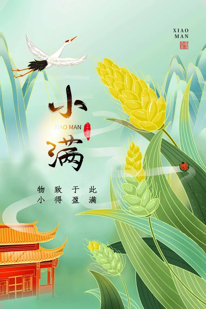 小满 小满促销海报psd模版下载