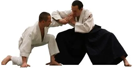 合气道 PNG免抠(425x218)