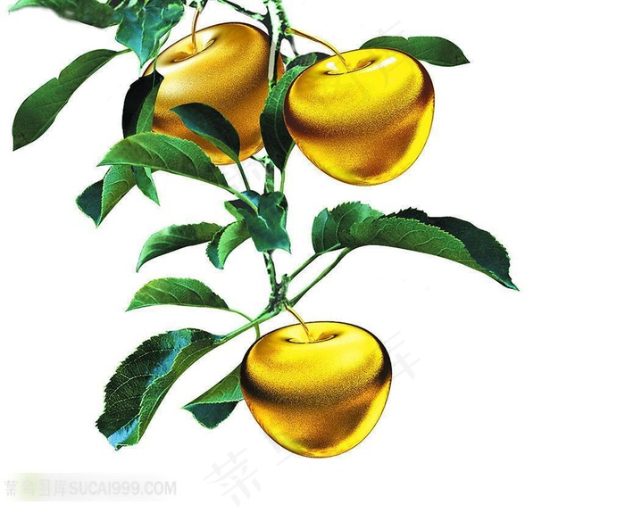 象征好运的金苹果