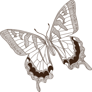 卡通动画动画蝴蝶免扣PNG手绘插画图片素材 (152)