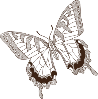 卡通动画动画蝴蝶免扣PNG手绘插画图片素材 (152)