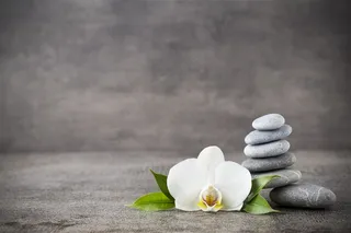 美丽的花朵花卉摄影图片