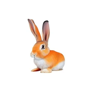兔子胡萝卜免抠