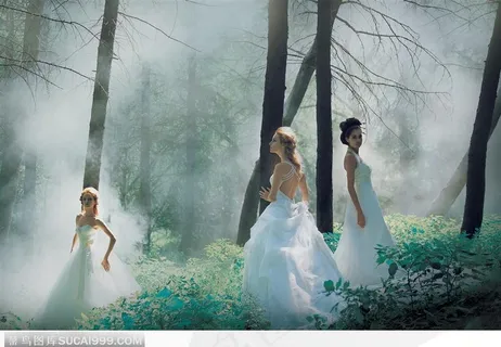 在树林中三个穿白色婚纱晚礼服的美女