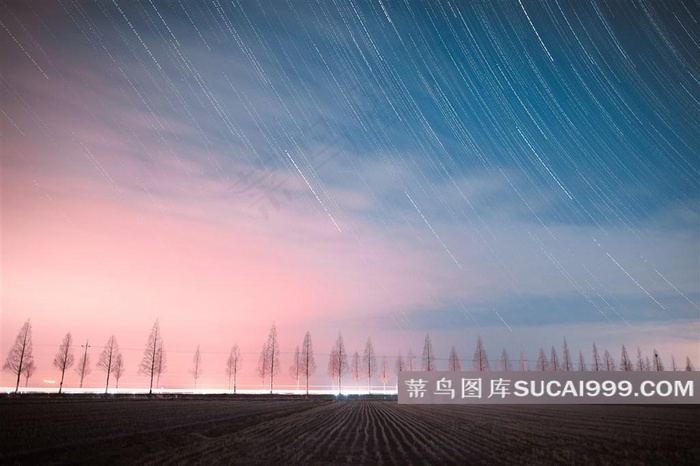 田园树木与夜空星轨等摄影高清图片