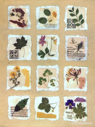 唯美树叶花枝插画