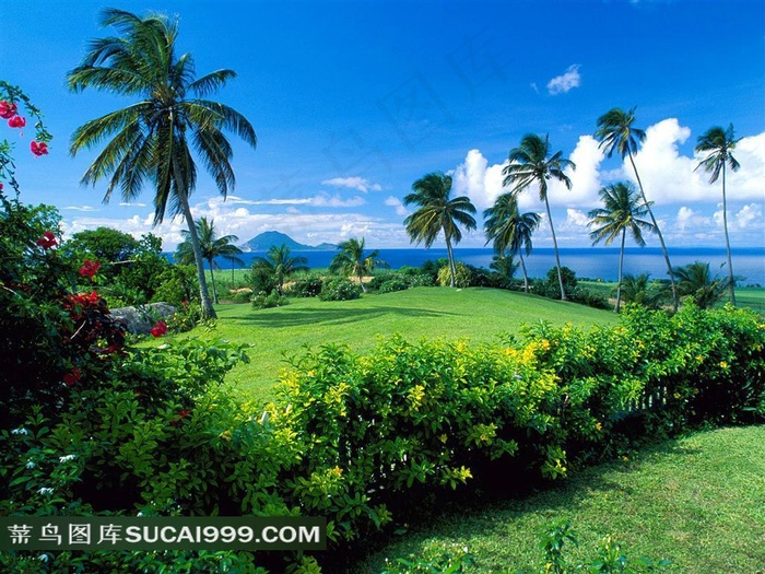 海上的绿色小岛