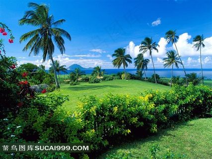 海上的绿色小岛