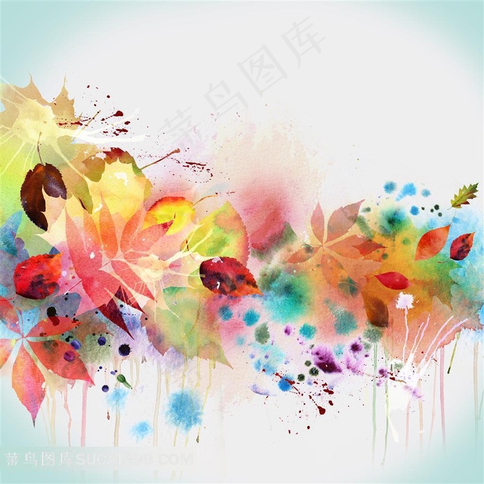 绝美百合花素材