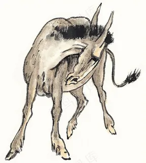 家畜美图jpg素材