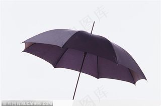 紫色雨伞