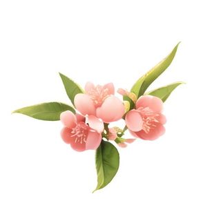 桃花春天树枝免抠