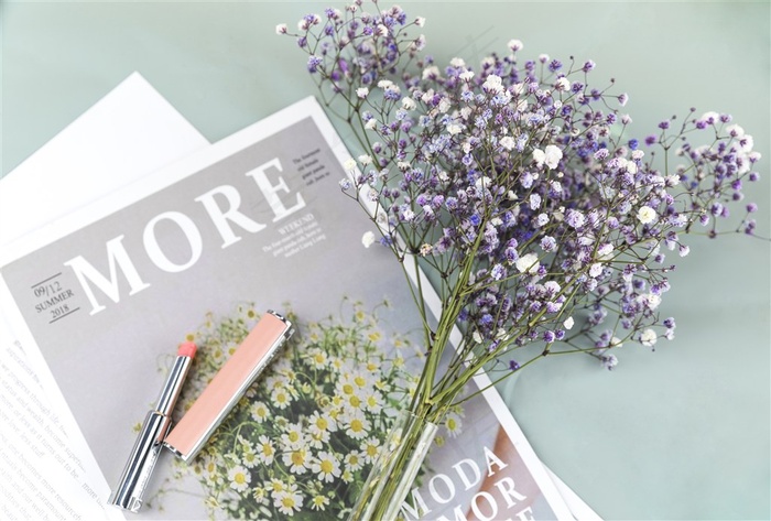 春天鲜花紫色满天星