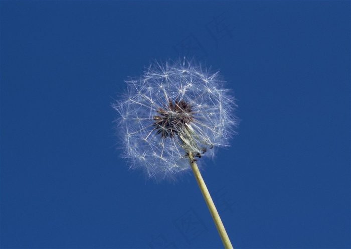 湛蓝色的天空白云素材