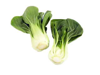 上海青 (19)超市商品白底图免抠实物摄影png格式图片透明底