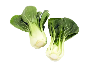 上海青 (19)超市商品白底图免抠实物摄影png格式图片透明底