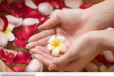 美容SPA保养-从花瓣中捧出小花 美容SPA保养-从花瓣中捧出小花