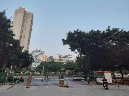 美好的一天从清晨开始 美好的一天从清晨开始