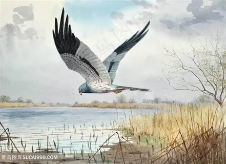 约翰.哈里森海鸥飞鸟湖畔风景画油画