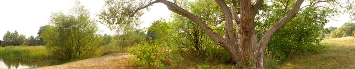 J147-67-大幅风景25