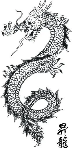 黑色纹身龙PNG图片免抠(999x2047)