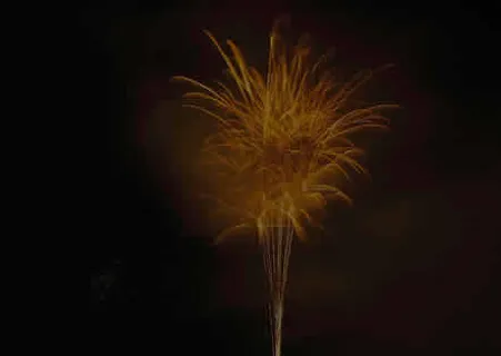 烟花图片 烟花图片