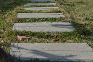 大蜀山森林公园风景图片-第8张