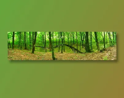 树林自然景观图片素材