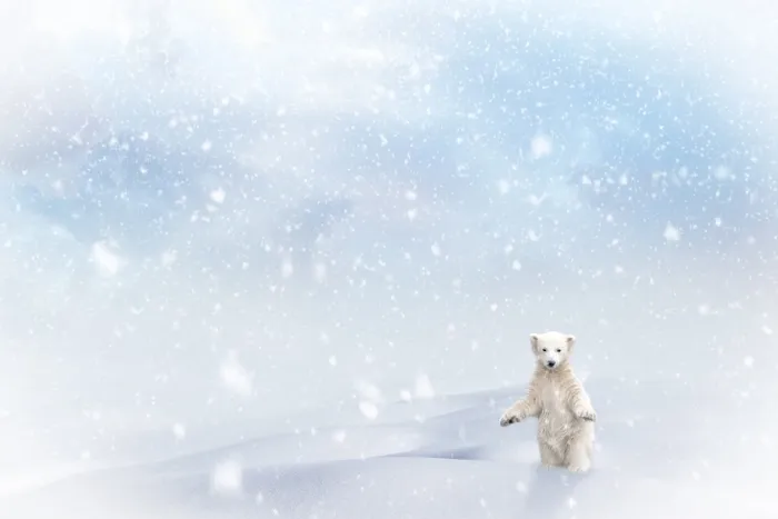 圣诞节冬天背景风景