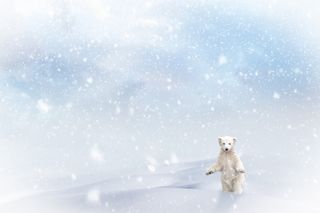 圣诞节冬天背景风景