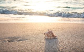 夏天 夏季 夏天海报 促销 吊旗