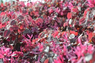 大蜀山森林公园风景图片-第7张