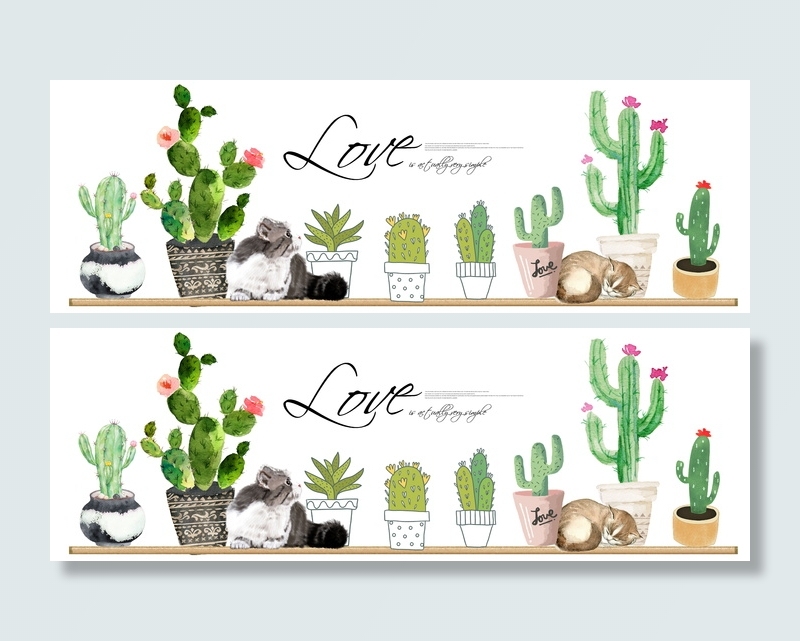 手绘热带花盆花卉装饰画