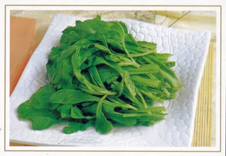 1009LC-0533生炝野茼蒿