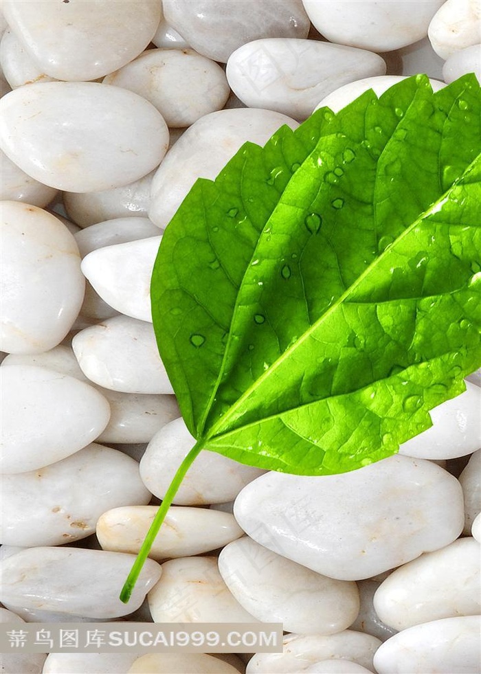 绿色叶子装饰画素材