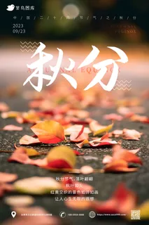 落叶 朦胧  秋分海报