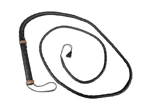 鞭子 PNG免抠(800x600)