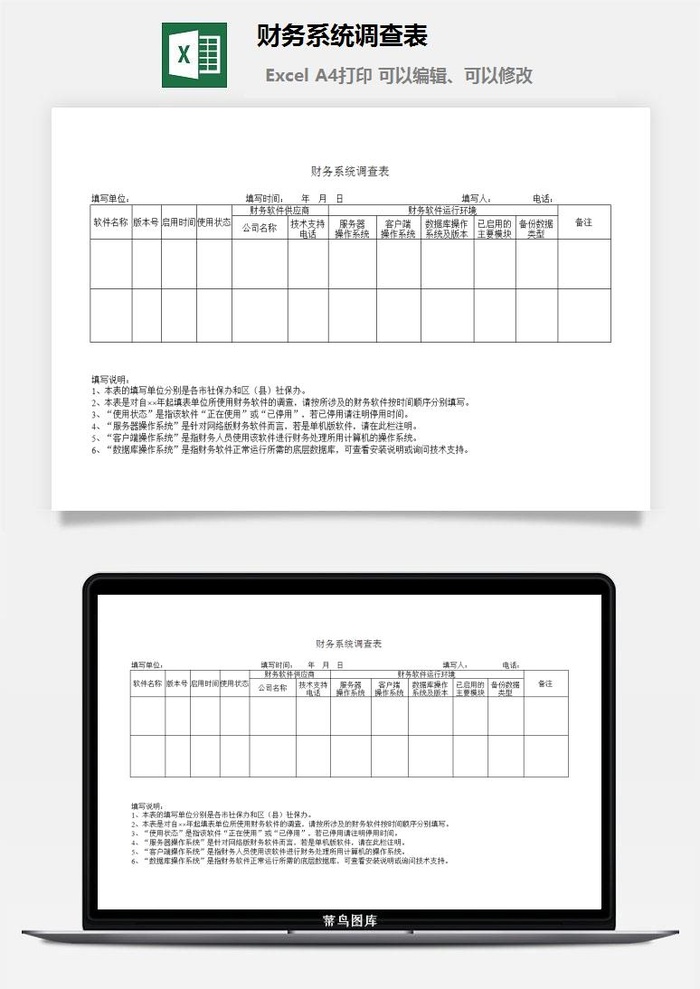 财务系统调查表excel模板