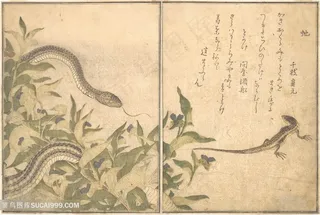 喜多川歌磨手绘蛇装饰画