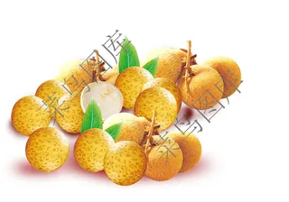 桂圆，龙眼高清