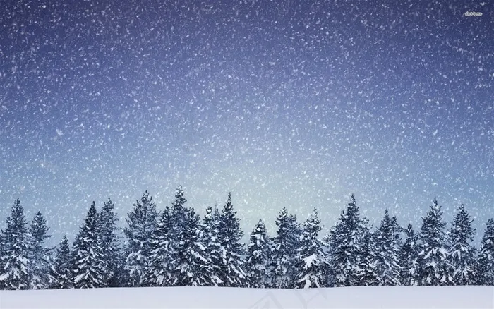 漫天雪花飞舞